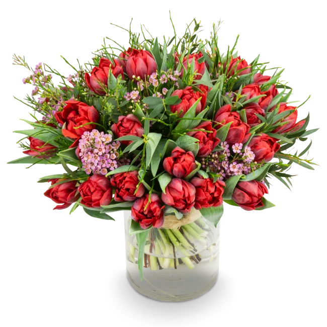 Bouquet of premium tulips